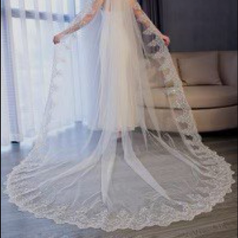Ivory beautiful veil (BRAND NEW)